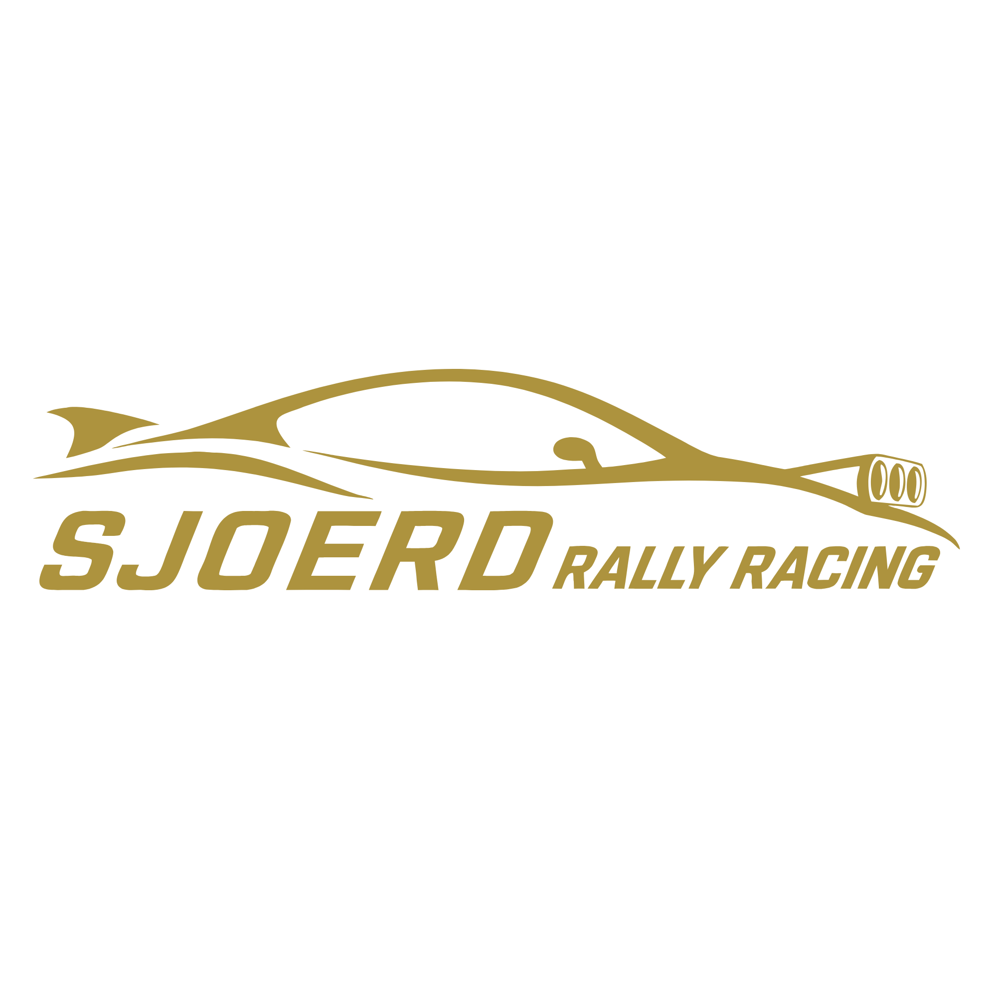 Sjoerd Rally Racing